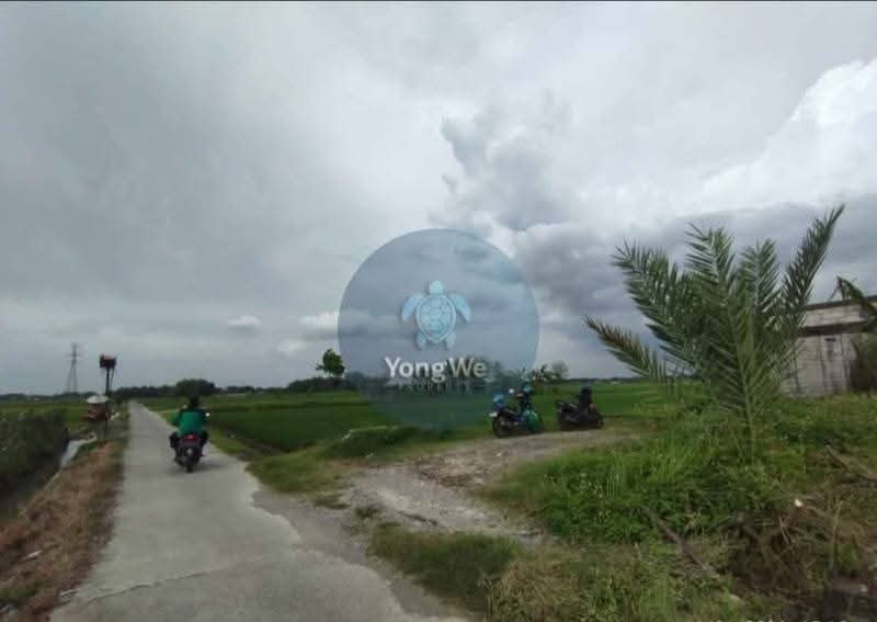 Tampak Depan